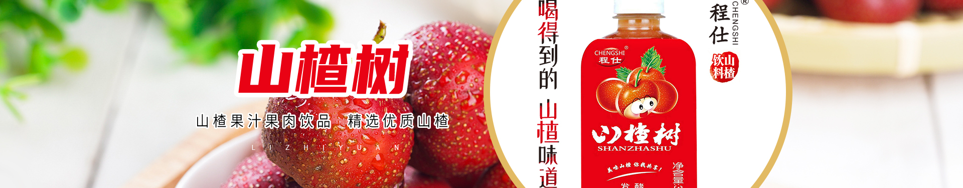 联系我们