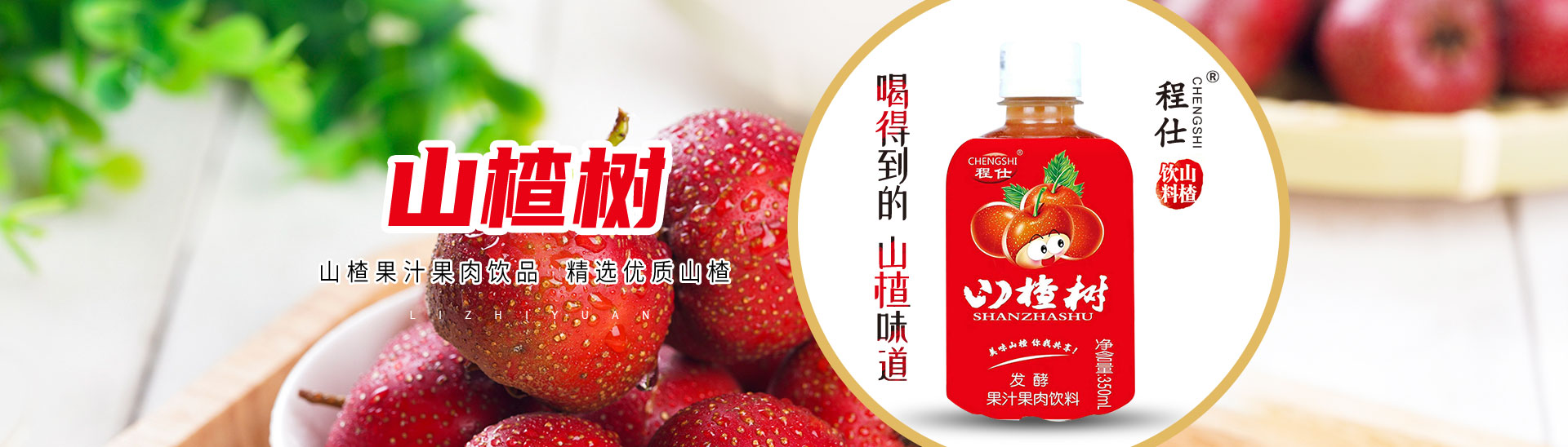 安阳市丽之源食品有限公司
